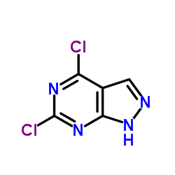 4,6-二氯-1H-吡唑啉[3,4-d]嘧啶