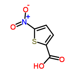 5-硝基噻吩-2-羧酸