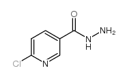 6-氯吡啶-3-甲酰肼