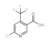 6-氯-4-三氟甲基烟酸