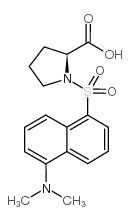 丹磺酰-L-脯氨酸