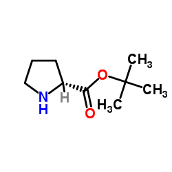 D-脯氨酸叔丁酯