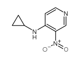 N-环丙基-4-氨基-3-硝基吡啶