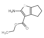 2-氨基环戊并[B!噻吩-3-甲酸乙酯