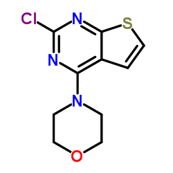 2-氯-4-吗啡啉基噻吩并[2,3-D]嘧啶