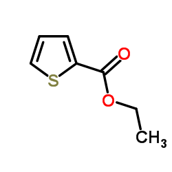 噻吩-2-羧酸乙酯