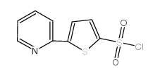 5-(2-吡啶)噻酚-2-磺酰氯