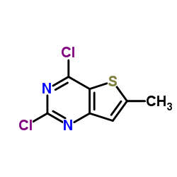 2,4-二氯-6-甲基噻吩并[3,2-d]嘧啶