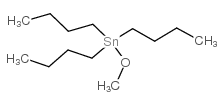 三正丁基甲氧基锡
