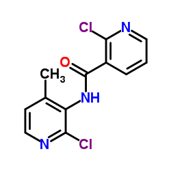 2-氯-N-(2-氯-4-甲基-3-吡啶)烟酰胺