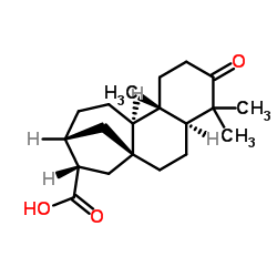 3-氧代贝壳烯烷-17-酸