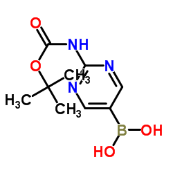 [2-[(叔丁氧羰基)氨基]嘧啶-5-基]硼酸