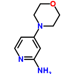 2-氨基-4-(4-吗啉基)吡啶