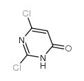 2,6-二氯-1H-嘧啶-4-酮