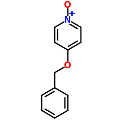 4-苄氧基吡啶-N-氧化物