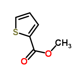2-噻吩甲酸甲酯