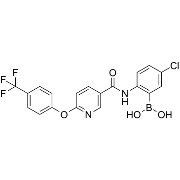 HSL-IN-1