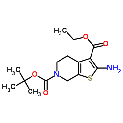 2-氨基-4,5-二氢噻吩并[2,3-c]吡啶-3,6(7H)-二羧酸-6-叔丁基酯