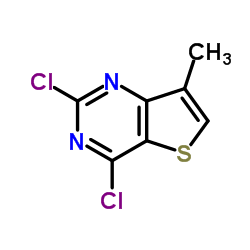 2,4-二氯-7-甲基噻吩并[3,2-d]嘧啶