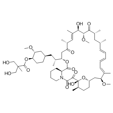 Temsirolimus (CCI-779)