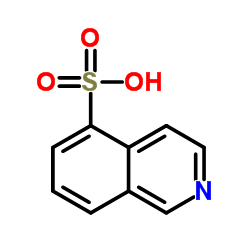 异喹啉-5-磺酸