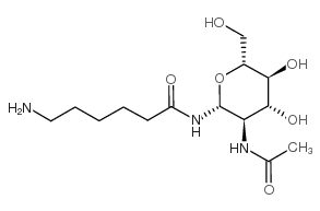 2-乙酰氨基-N-(e-氨基己酰基)-2-脱氧-β-D-吡喃葡萄糖胺