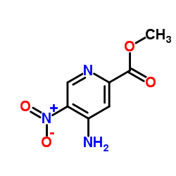 4-氨基-5-硝基-2-吡啶羧酸甲酯