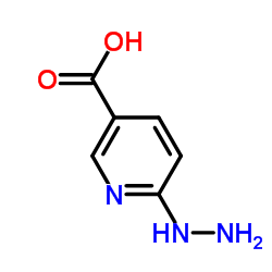 6-肼基烟酸