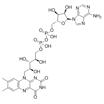 黄素腺嘌呤二核苷酸