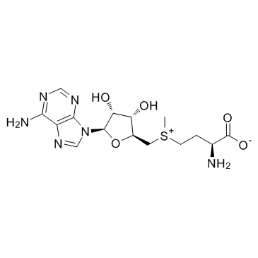 S-腺苷-L-蛋氨酸