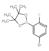 5-溴-2-氟吡啶-3-硼酸频哪醇酯