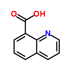 8-喹啉羧酸