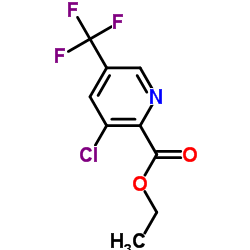 3-氯-5-三氟甲基-2-吡啶甲酸乙酯