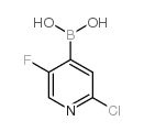 2-氯-5-氟吡啶-4-硼酸