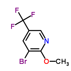 3-溴-2-甲氧基-5-三氟甲基吡啶