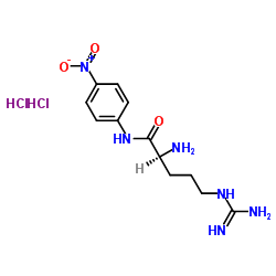 H-精氨酸-PNA二盐酸盐