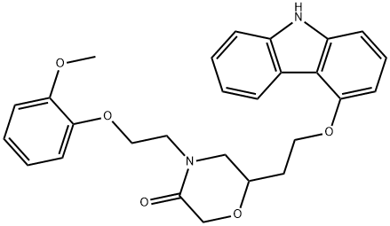 Homo-VK-II-36