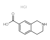 四氢异喹啉7-甲酸盐酸盐