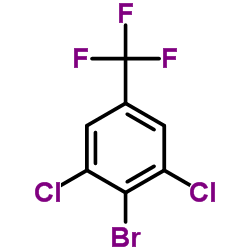 4-溴-3,5-二氯三氟甲苯