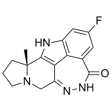 Pamiparib