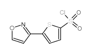 5-异恶唑-3-噻酚-2-磺酰氯