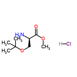 O-叔丁基-D-丝氨酸甲酯盐酸盐