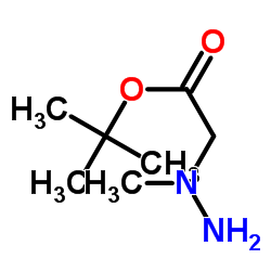 N-氨基-N-甲基甘氨酸叔丁酯