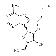 2'-O-(2-甲氧乙基)腺苷