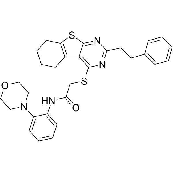 iHCK-37