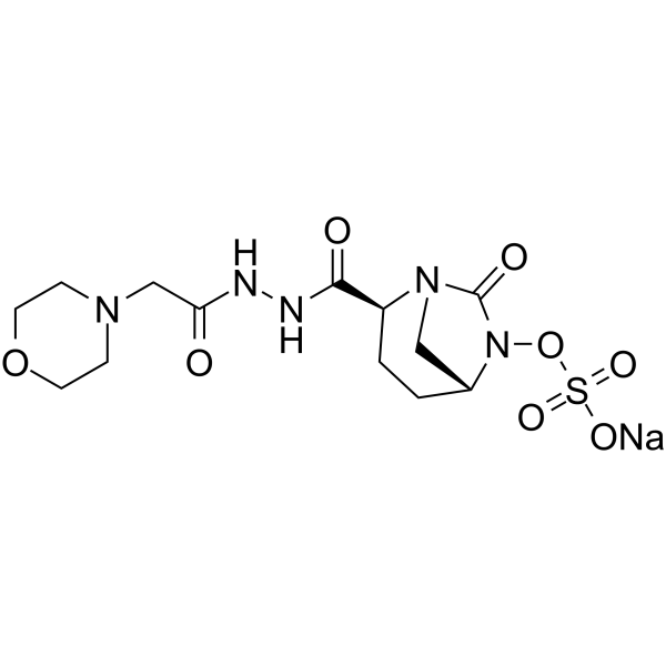 Antibacterial agent 51