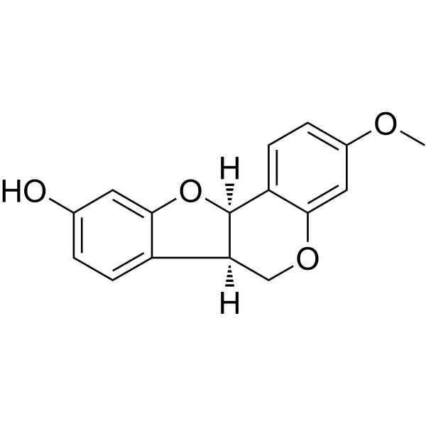 异美迪紫檀素