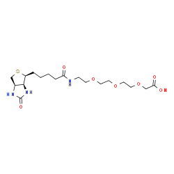 生物素-PEG3-乙酸