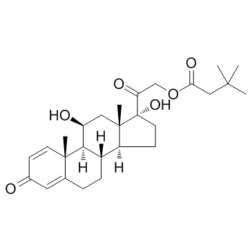 丁乙酸泼尼松龙