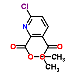 6-氯吡啶-2,3-二甲酸二甲酯
